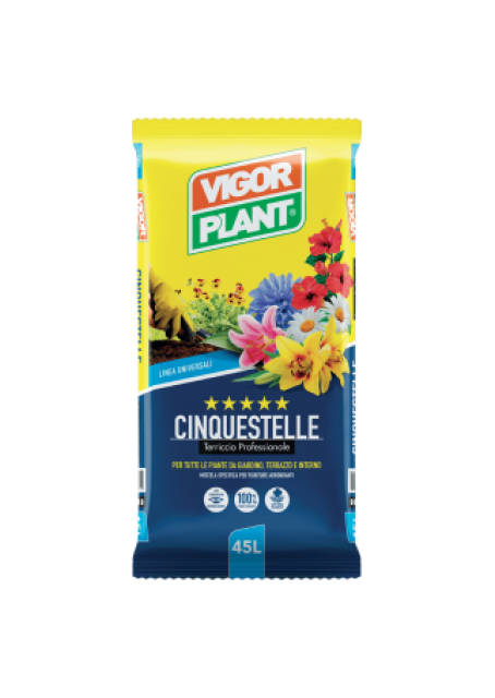 Supstrat Cinquestelle