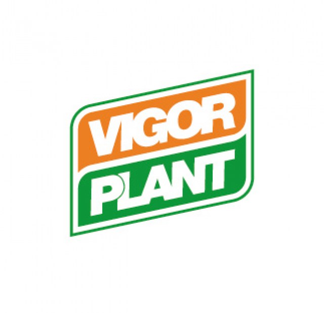 VIV MC Crisantemo - supstrat za uzgoj krizantema